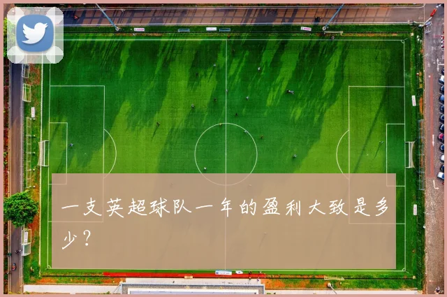 一支英超球队一年的盈利大致是多少？
