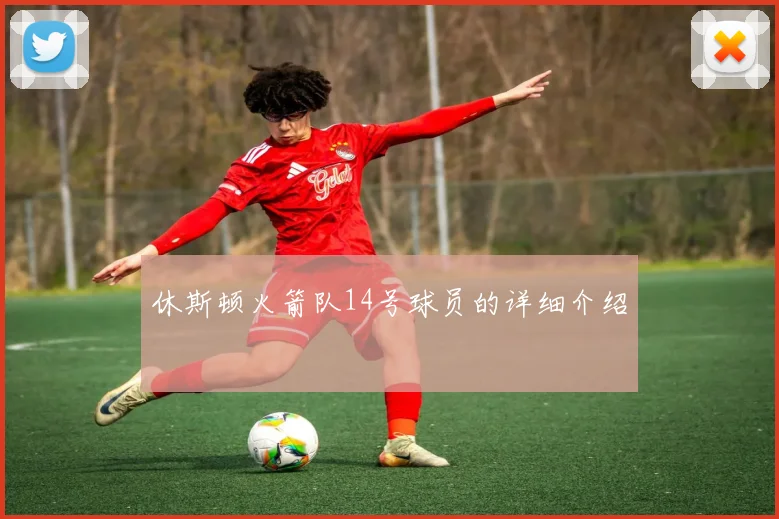 休斯顿火箭队14号球员的详细介绍