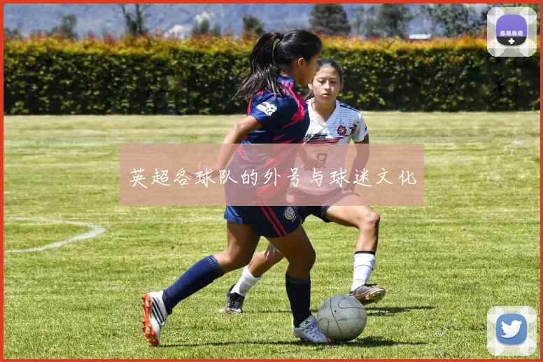 英超各球队的外号与球迷文化