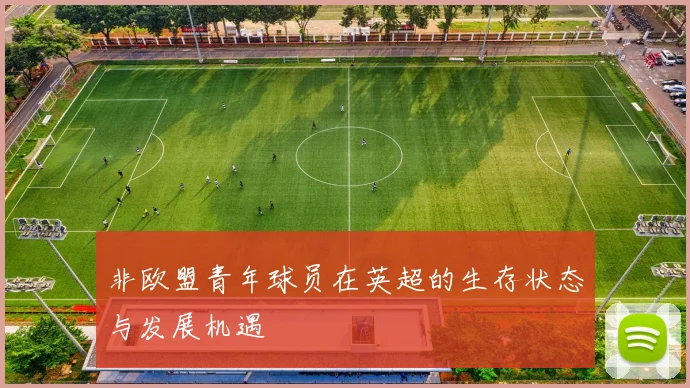 非欧盟青年球员在英超的生存状态与发展机遇